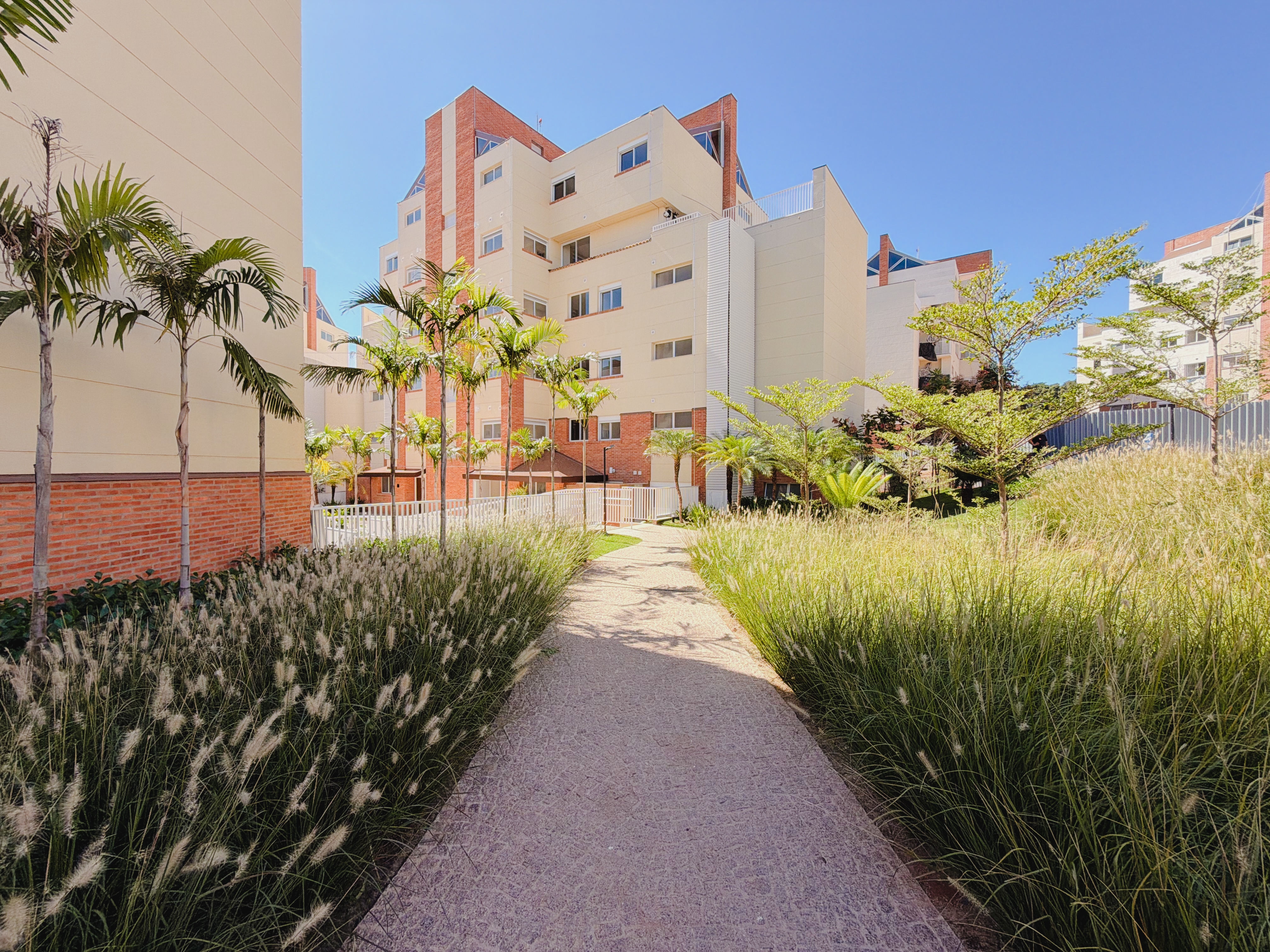 BOUGAINVILLE 16