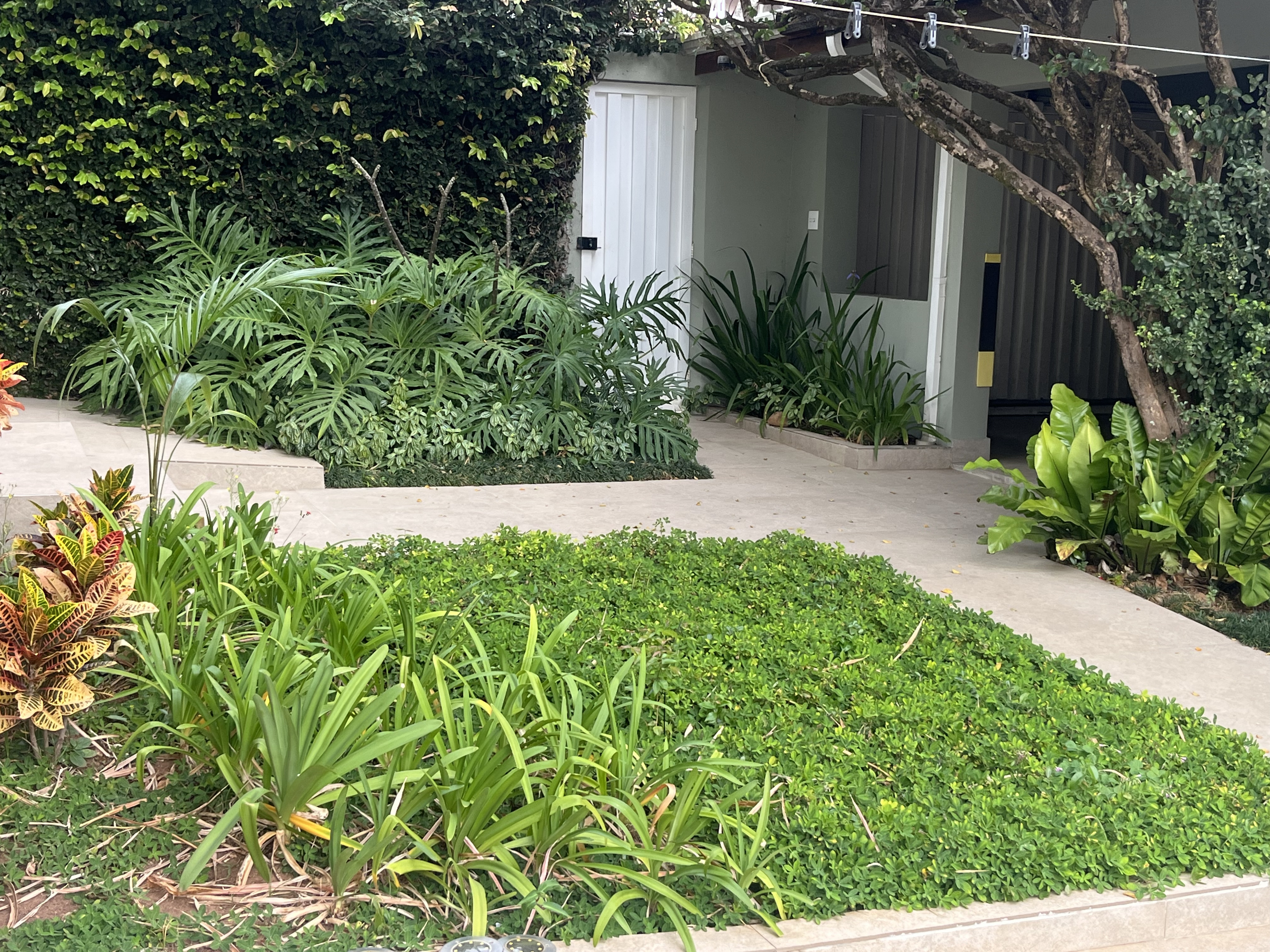 CASA NO JARDIM  CHAPADÃO 6