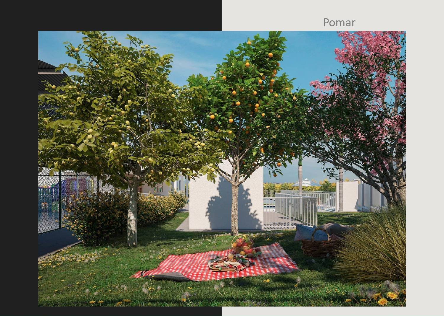 COIMBRA GARDEN 11